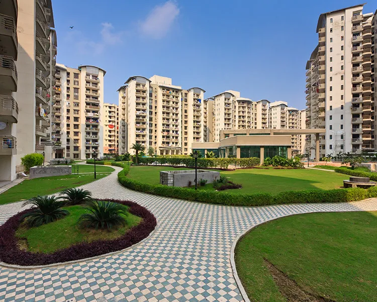 One Estate Gallery 3